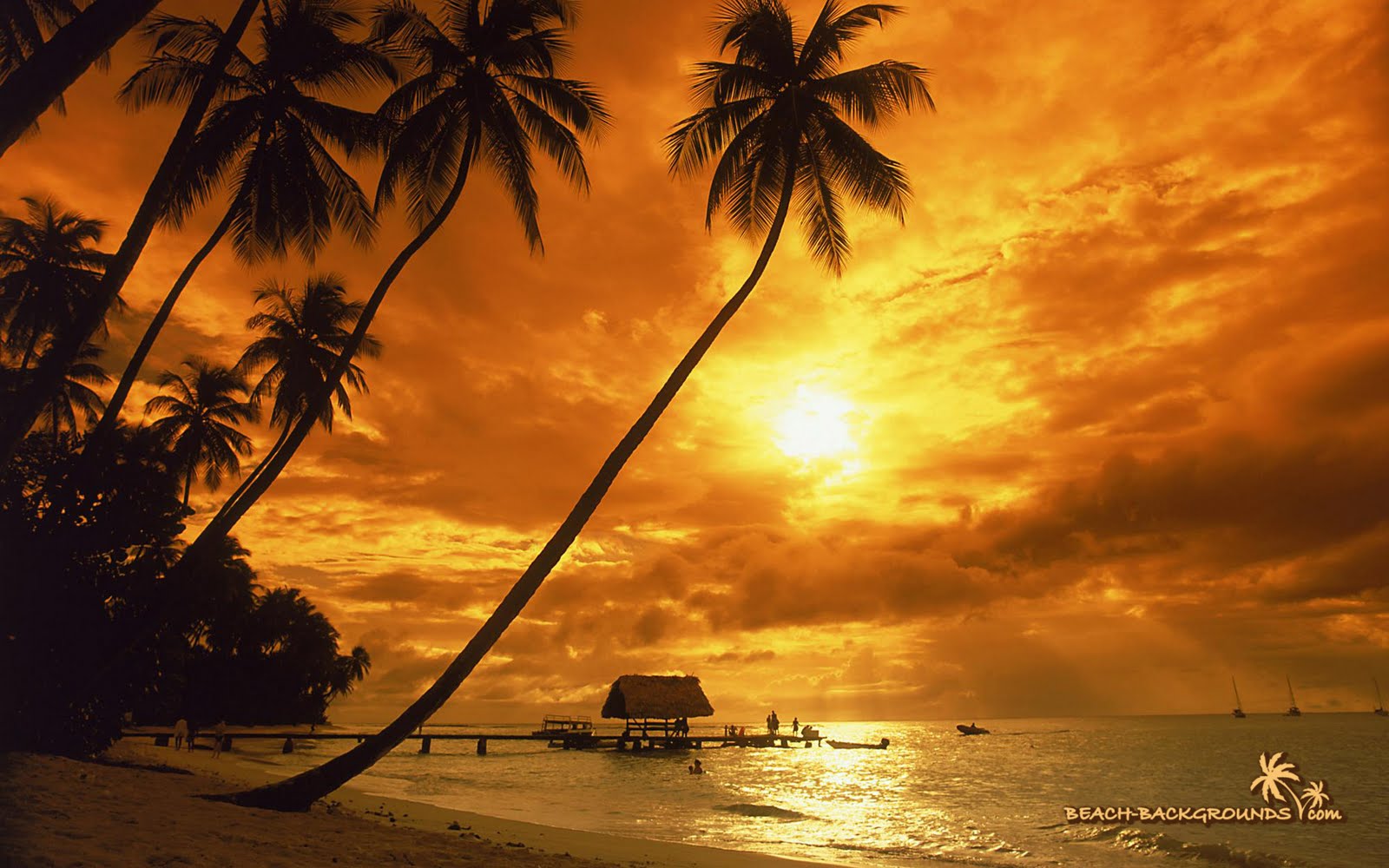 Bmw M3 Wallpaper Tropical Sunset