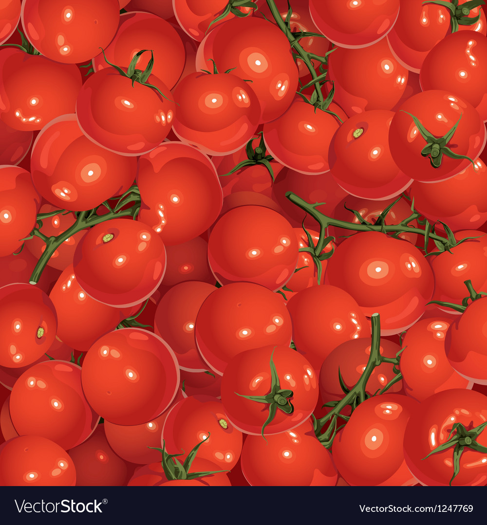 Background Of Tomatoes Royalty Vector Image