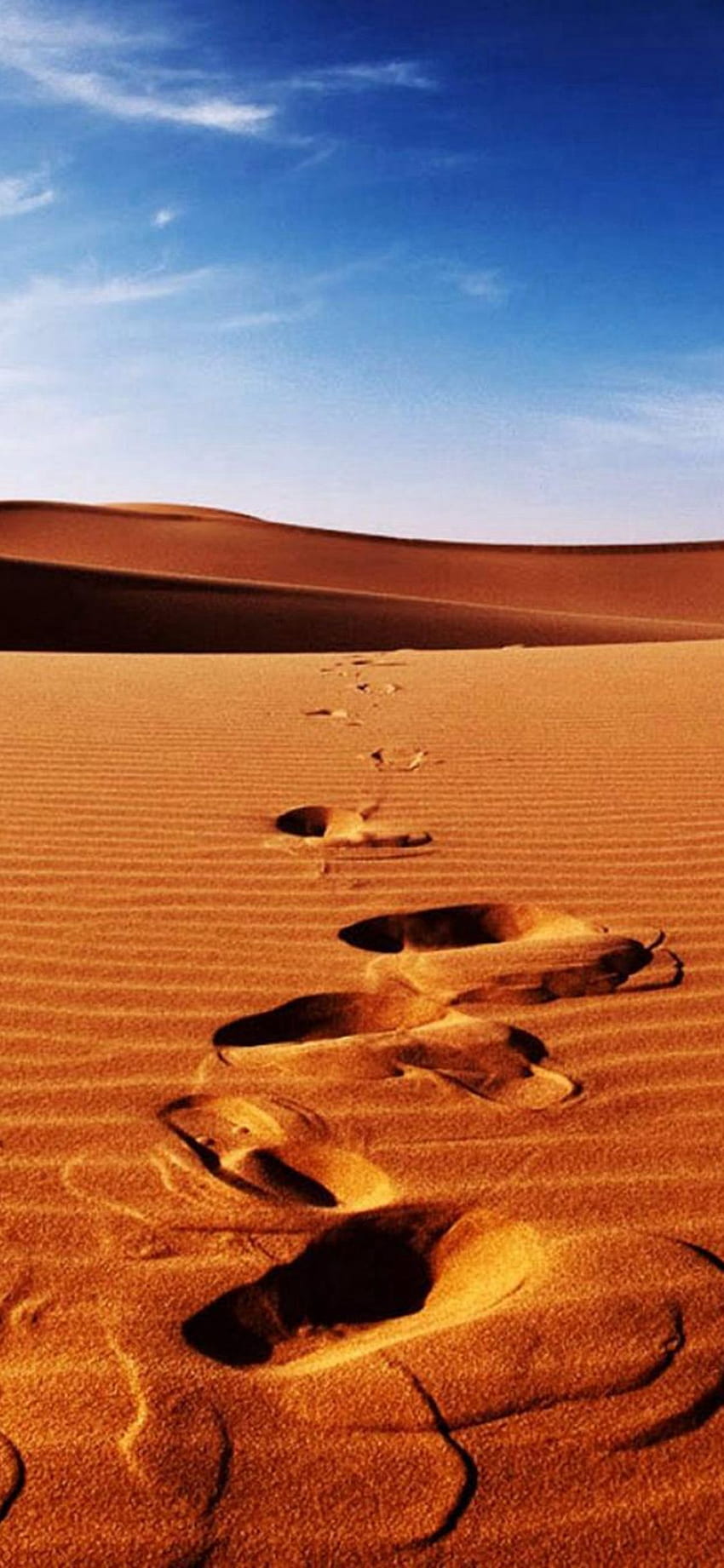 Desert Aesthetic HD Wallpaper By Ivar605