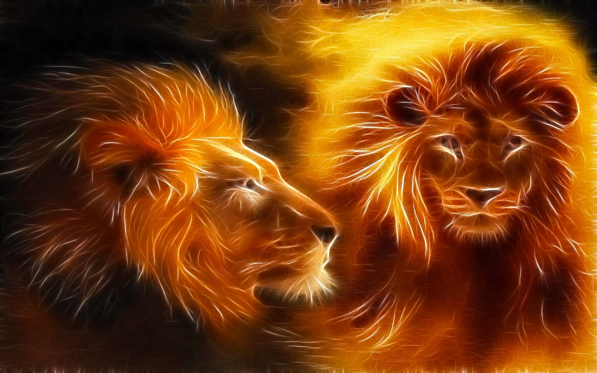 Lion Abstract Art Daily Pics Update HD Wallpapers Download