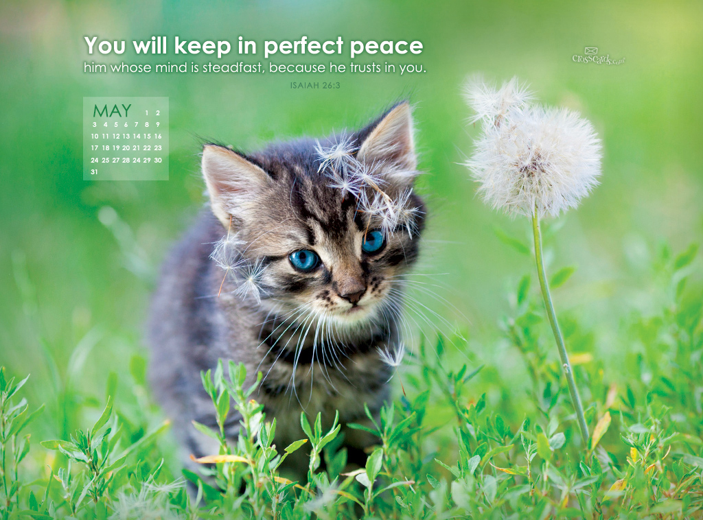 May Perfect Peace