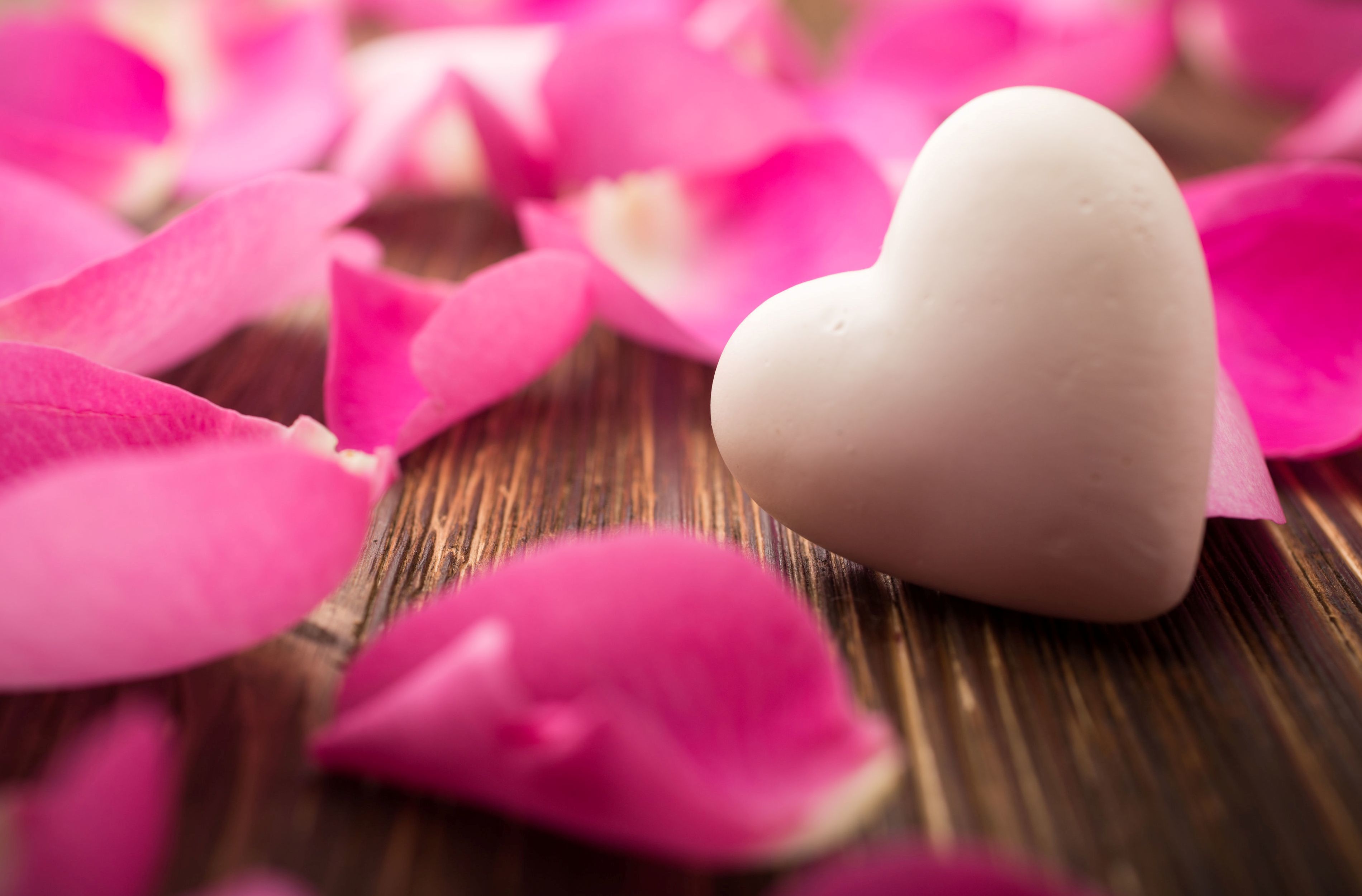 Love Heart Wallpaper 4k White Rose Petals