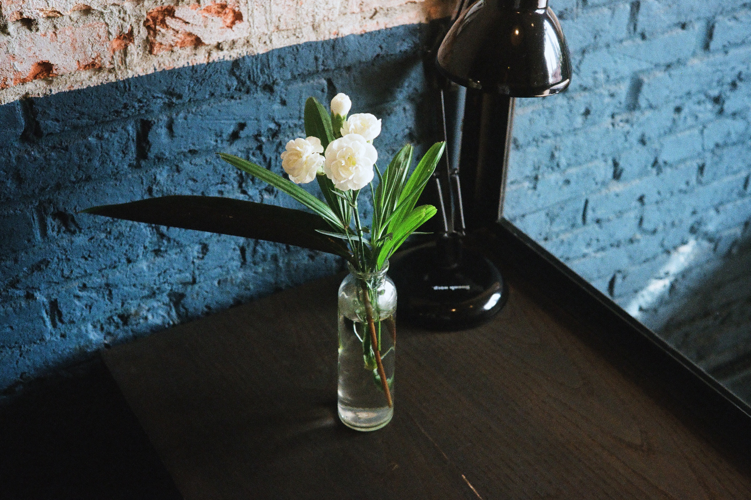 Flower Vase Wallpaper