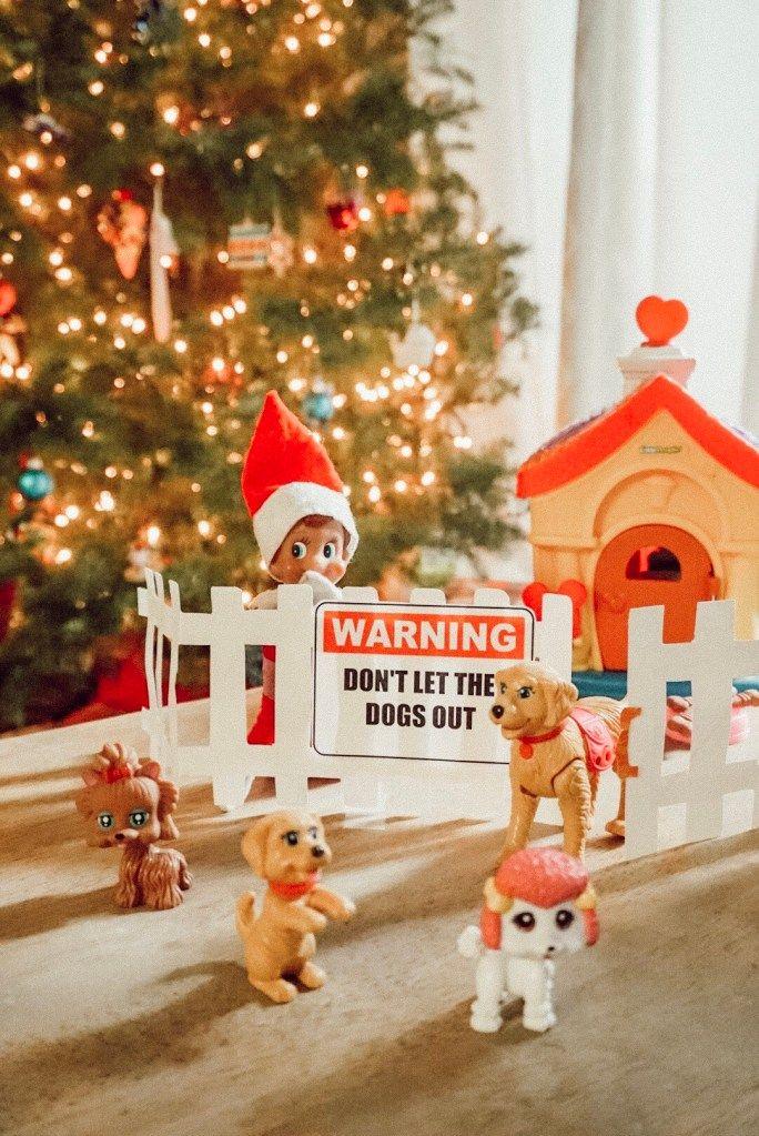 Elf On The Shelf Ideas Adult Who Let Dogs