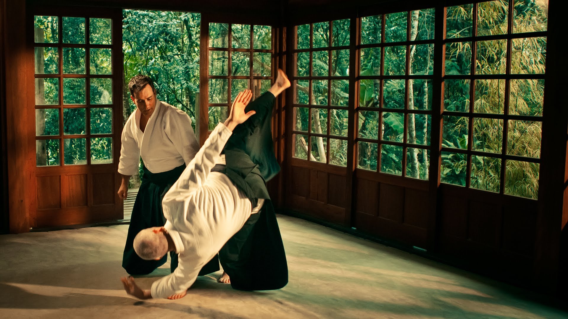 HD Aikido Wallpaper