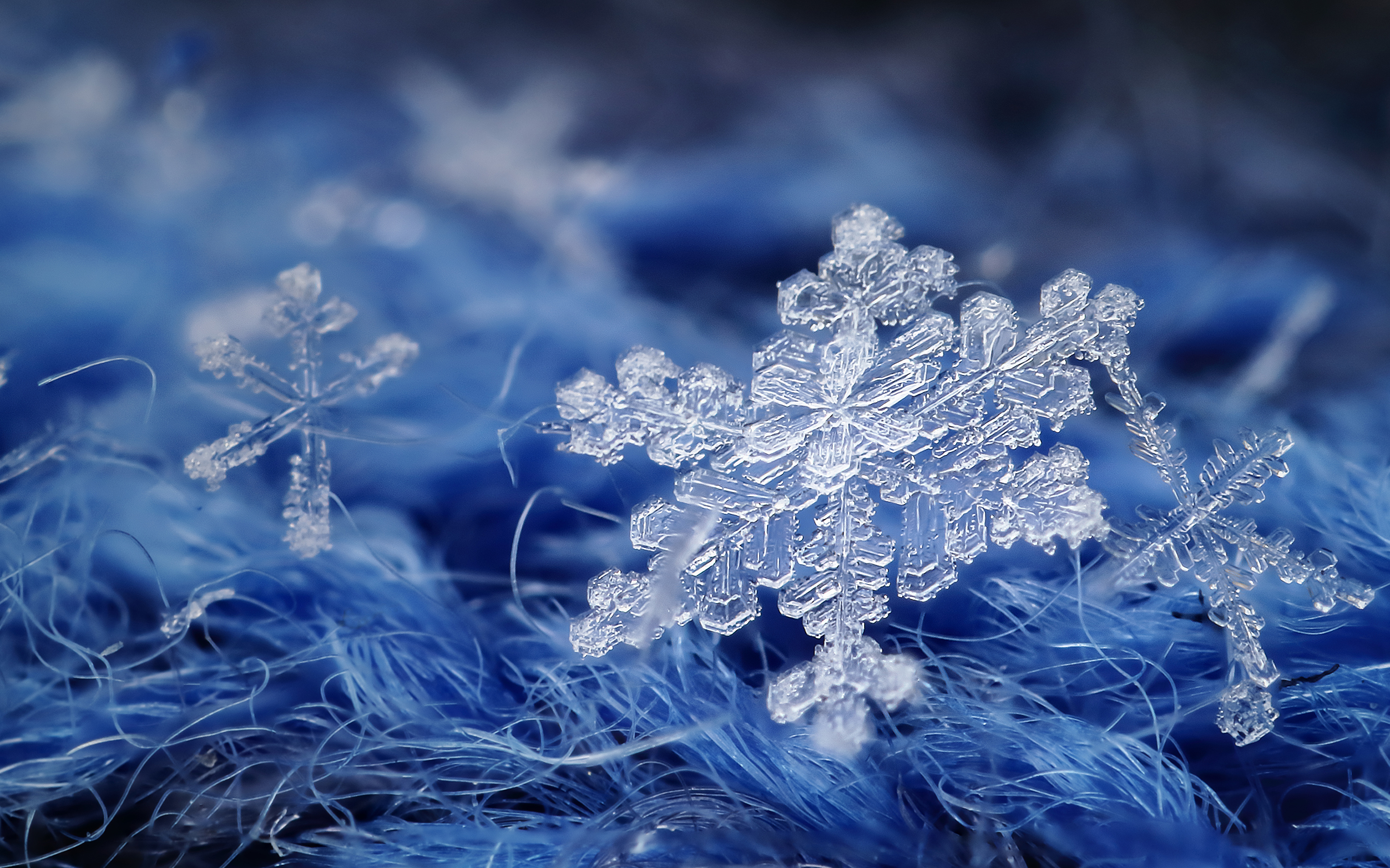 Picture Snowflakes Macro Closeup Wallpaper