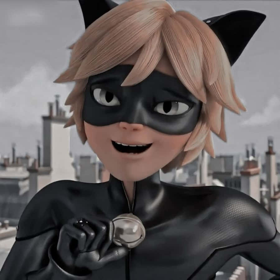 Cat Noir Picture Wallpaper