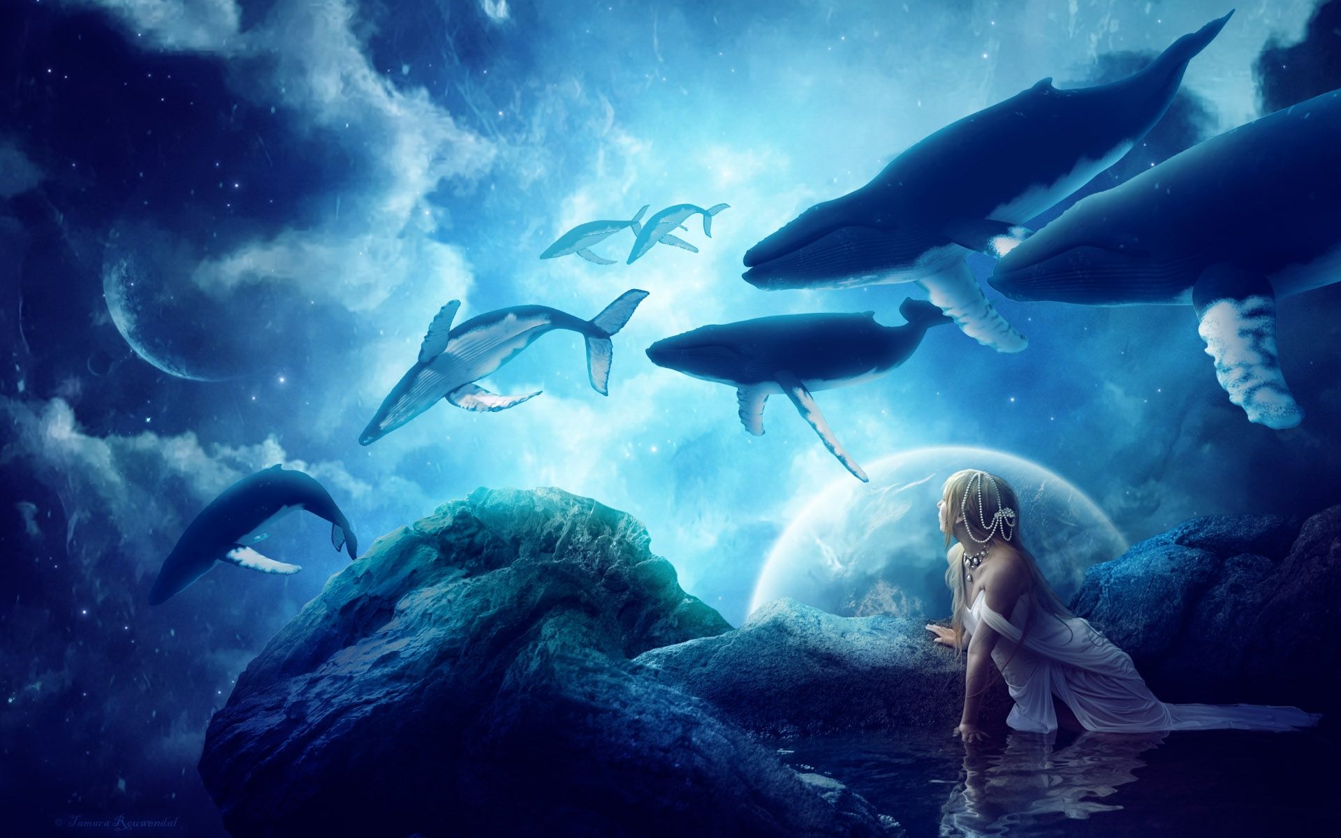 Whales Dream HD Desktop Wallpaper Cool World