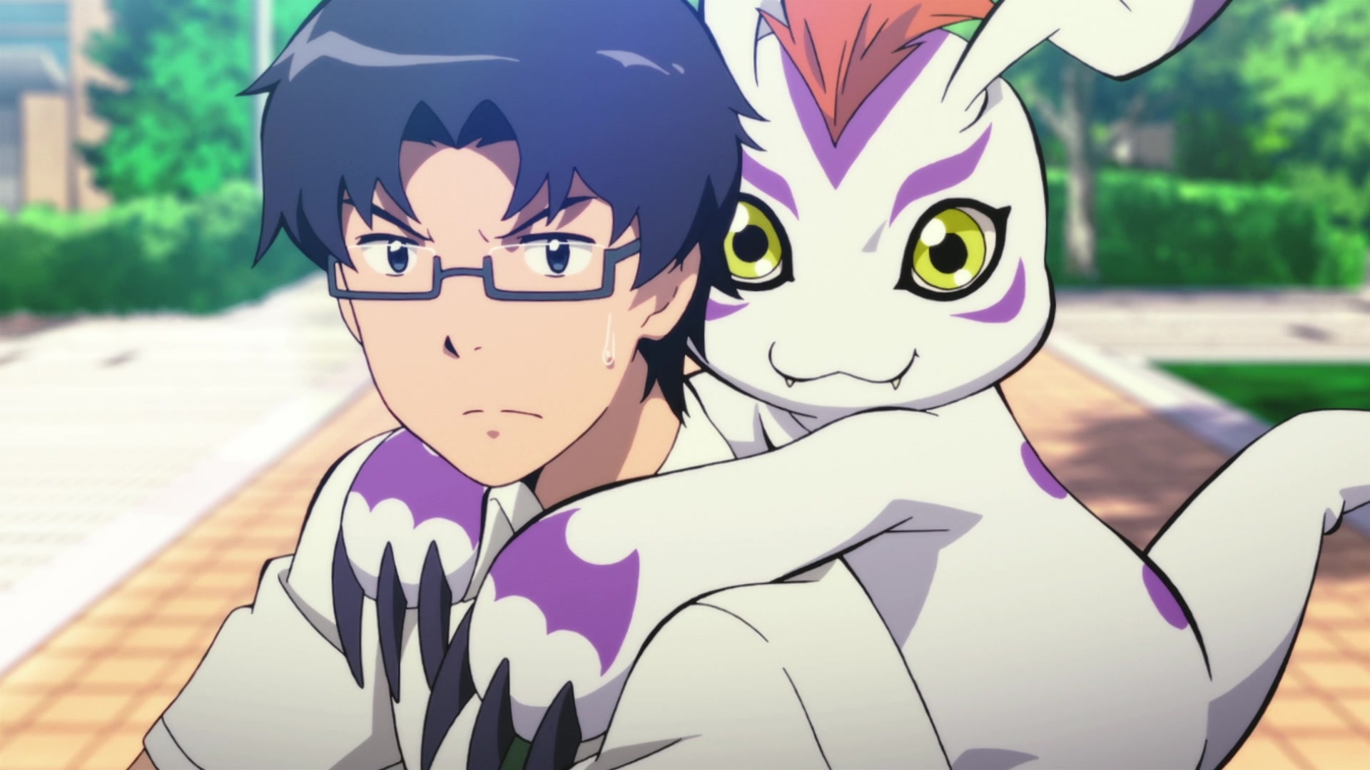 Digimon Adventure Tri Episode Confession Part