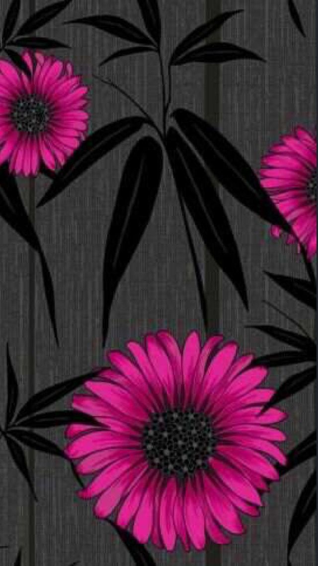 46+] Pink And Black Flower Wallpapers - WallpaperSafari