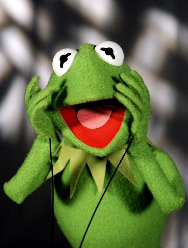 Show Kermit The Frog Muppet Wallpaper Frogs