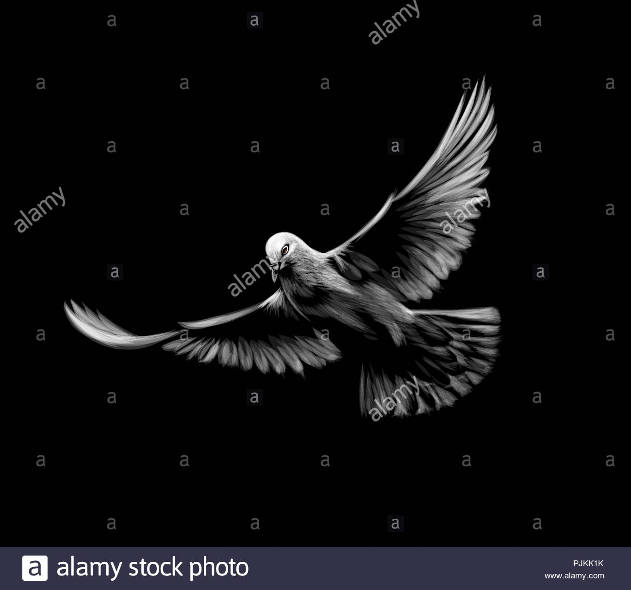 Flying White Dove On A Black Background Stock Vector Art