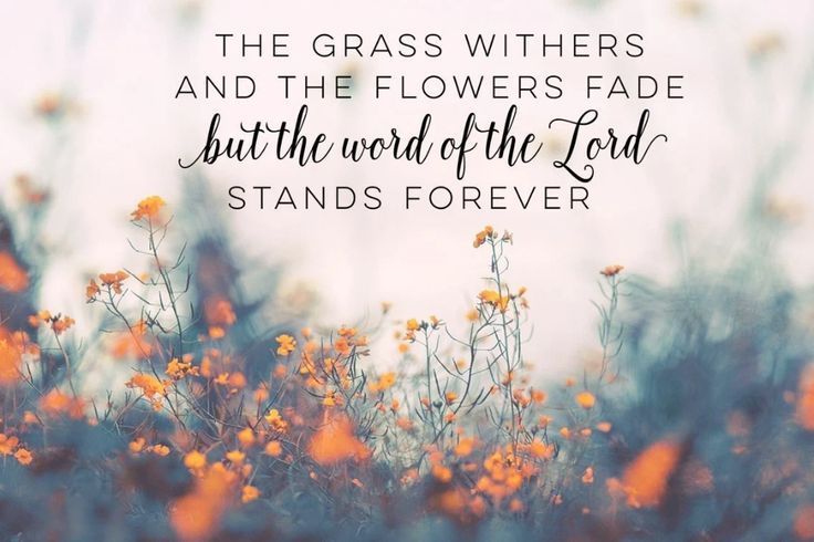 Awesome Bible Verse Laptop Wallpaper