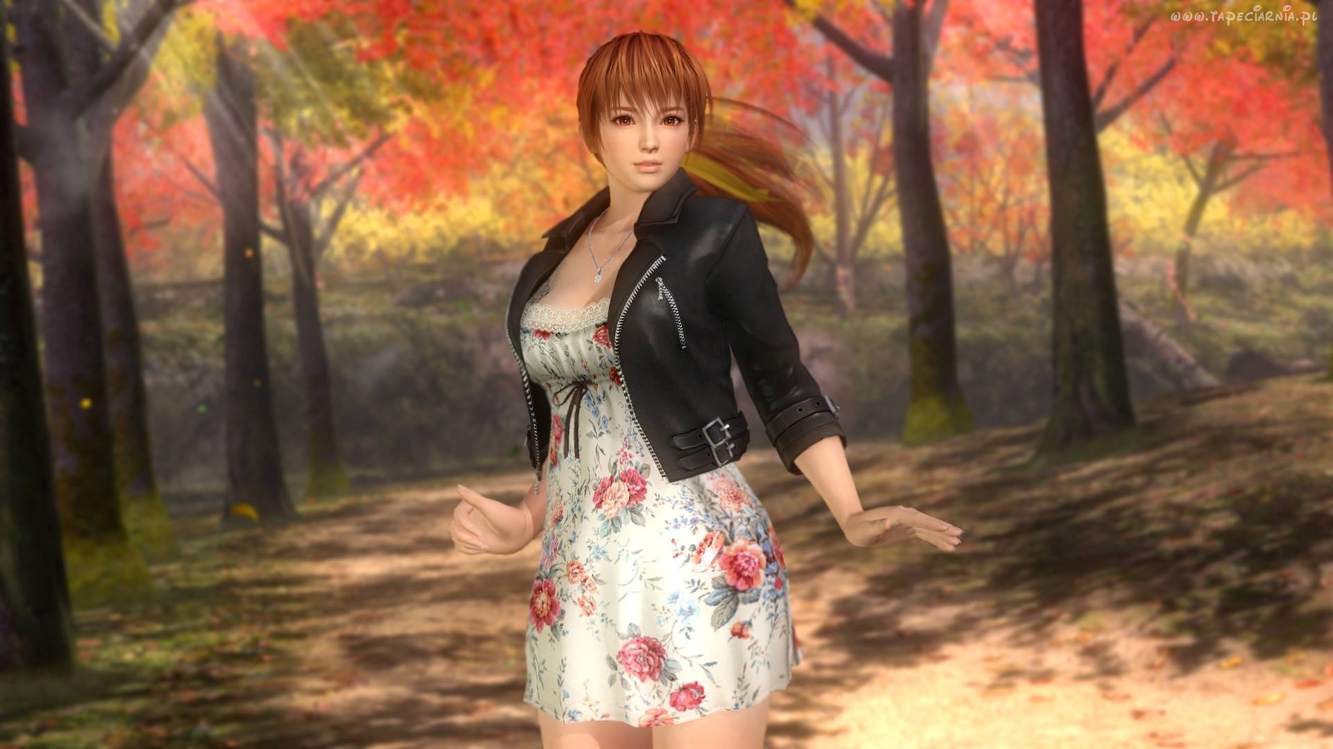 Dead Or Alive Ultimate Kasumi