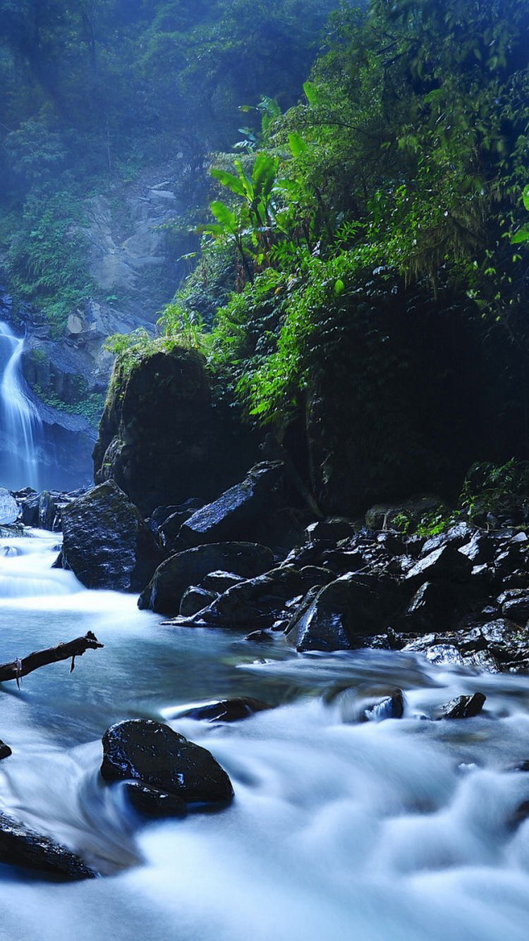 Forest Waterfalls iPhone Wallpaper Ipod HD