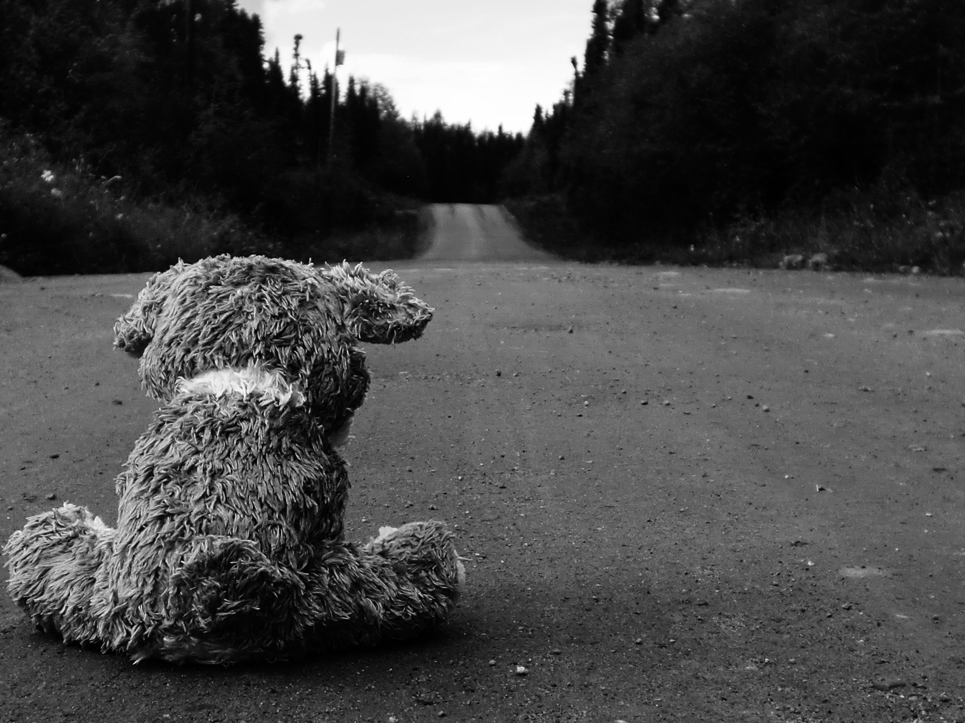 Sad Roads Wallpaper Teddy Bears