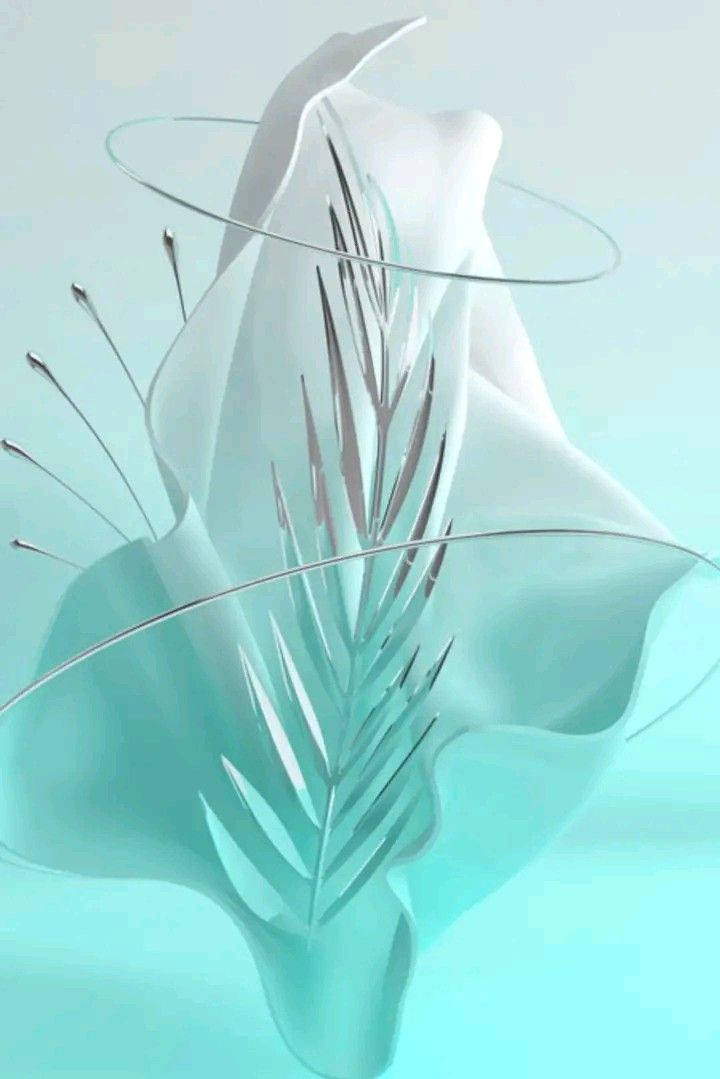White Flower Iphone Wallpaper
