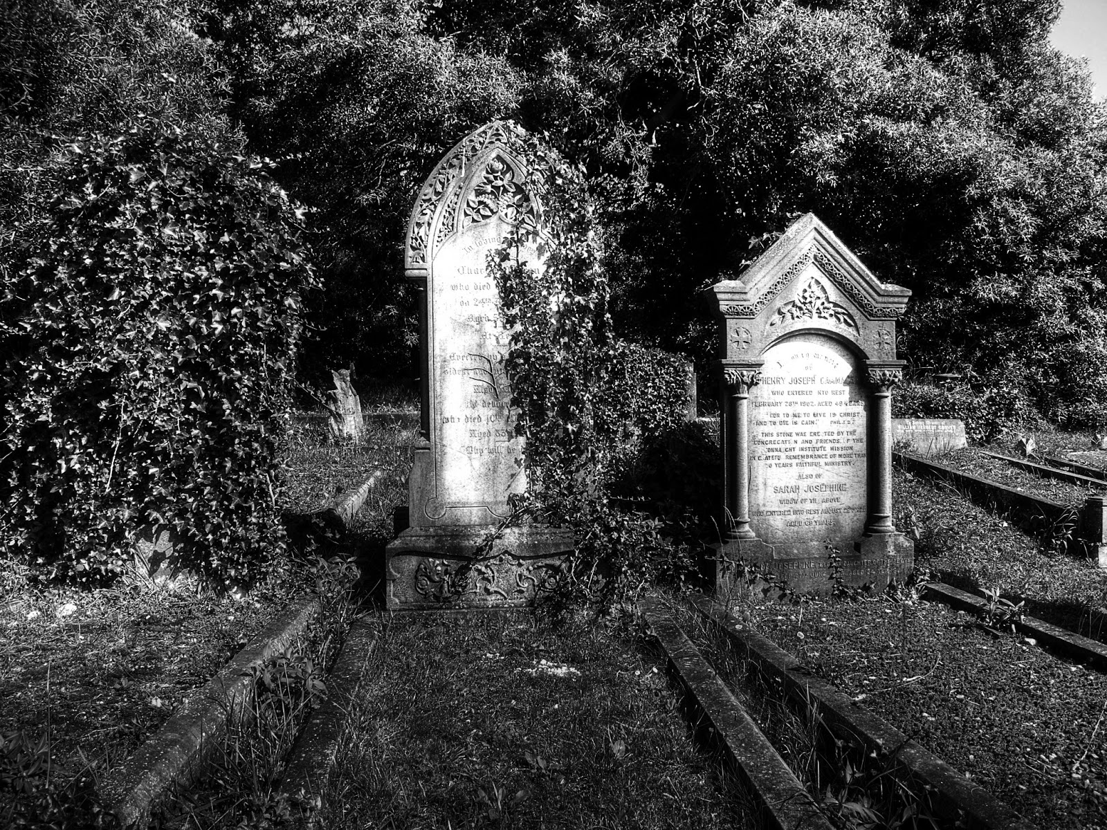 Scary Cemetery Pictures