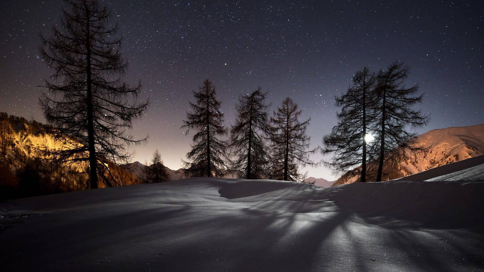 Download 4k Winter Starry Sky Wallpaper