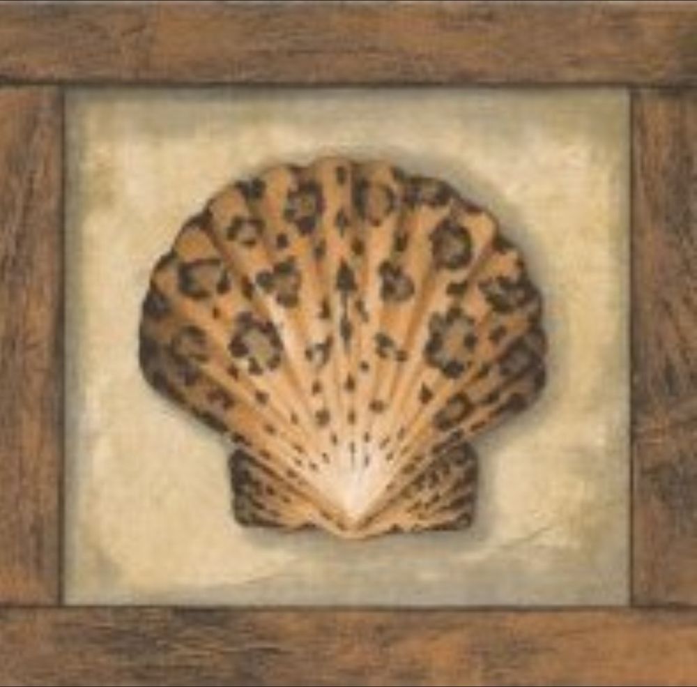 Wallpaper Border Animal Print Sea Shells Leopard Zebra Tiger with Wood 1000x985