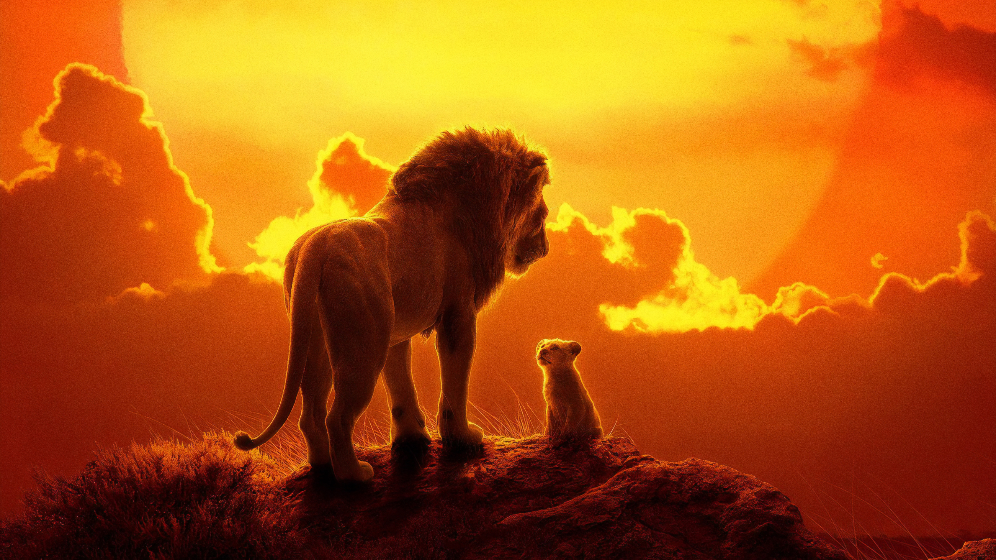 The Lion King Movie HD Movies 4k Wallpaper Image Photos And Picture