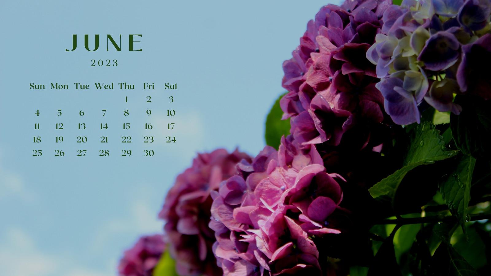 Page 4   Free and customizable floral desktop wallpaper templates