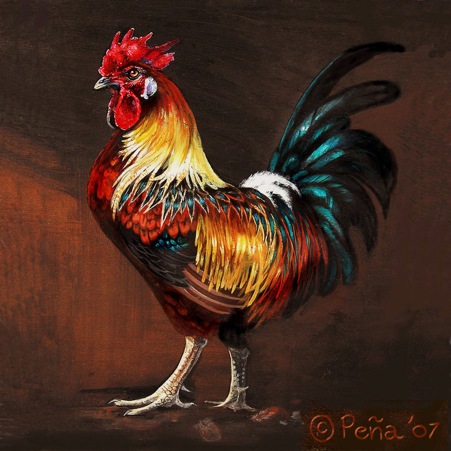 Rufus The Rooster By Reptangle