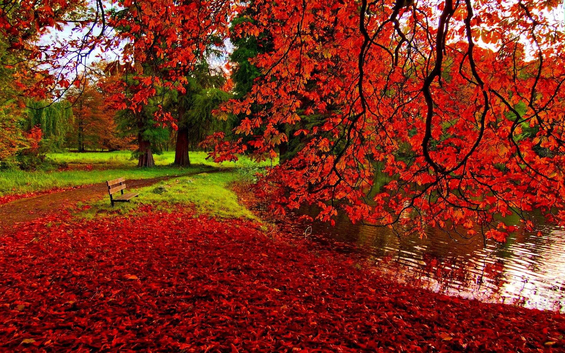 Vivid red autumn leaves blanket the ground and hang from trees around a tranquil pond, creating a breathtaking fall scene