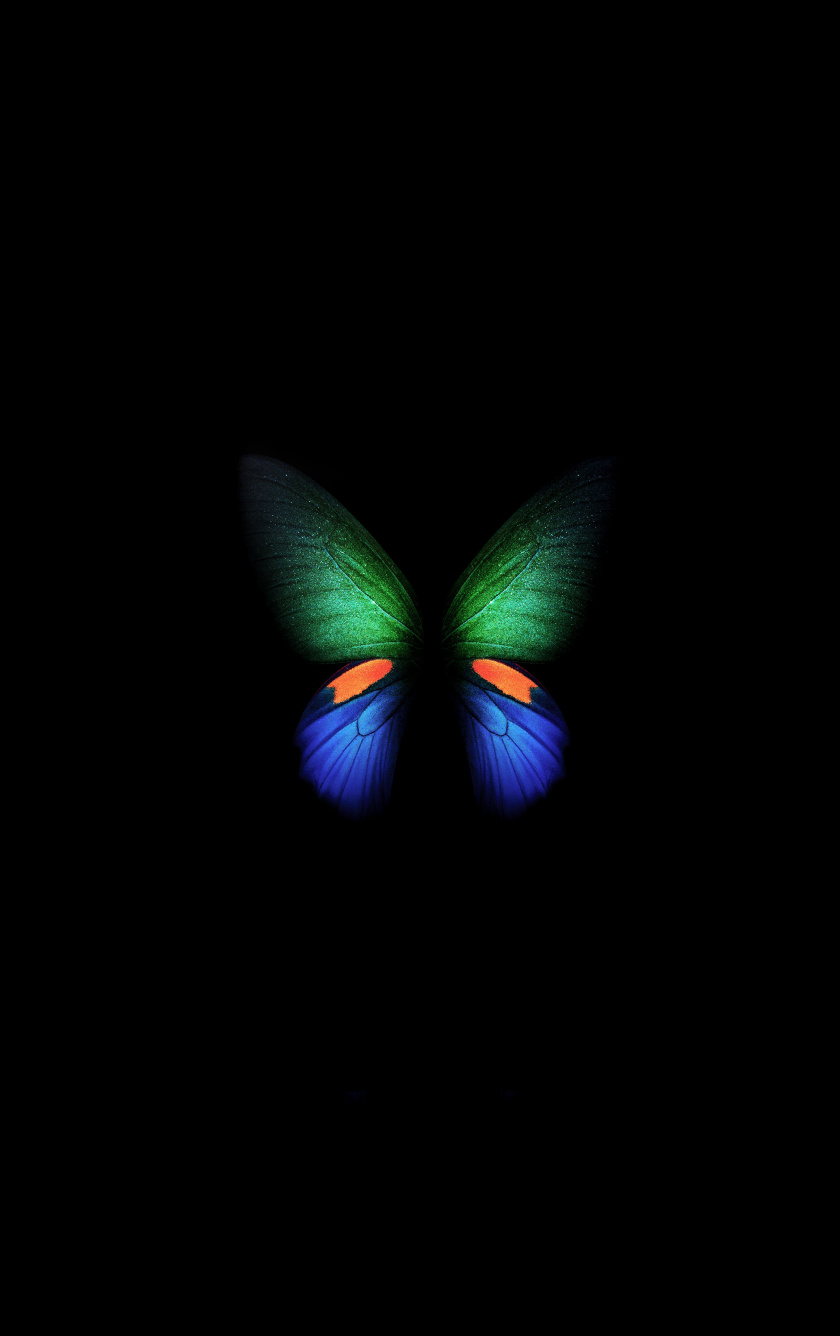 Samsung Galaxy Fold Green Blue Butterfly Artwork