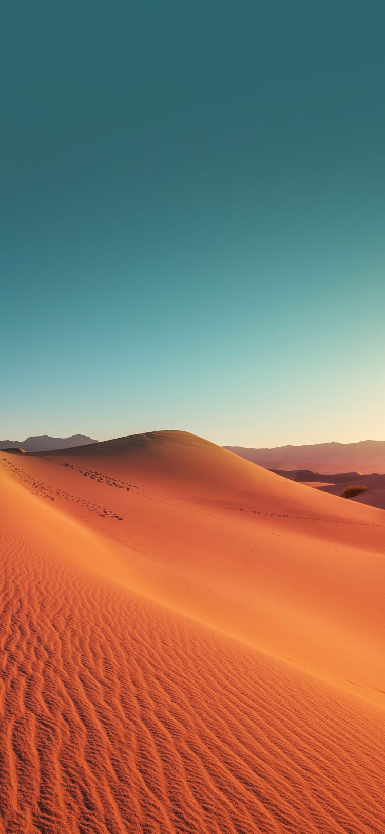 Some Desert Wallpaper