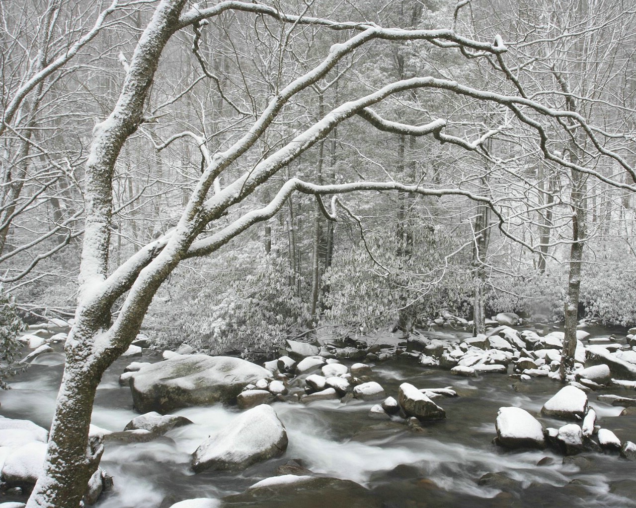 nature winter dreamy snow scene 32947 3jpg