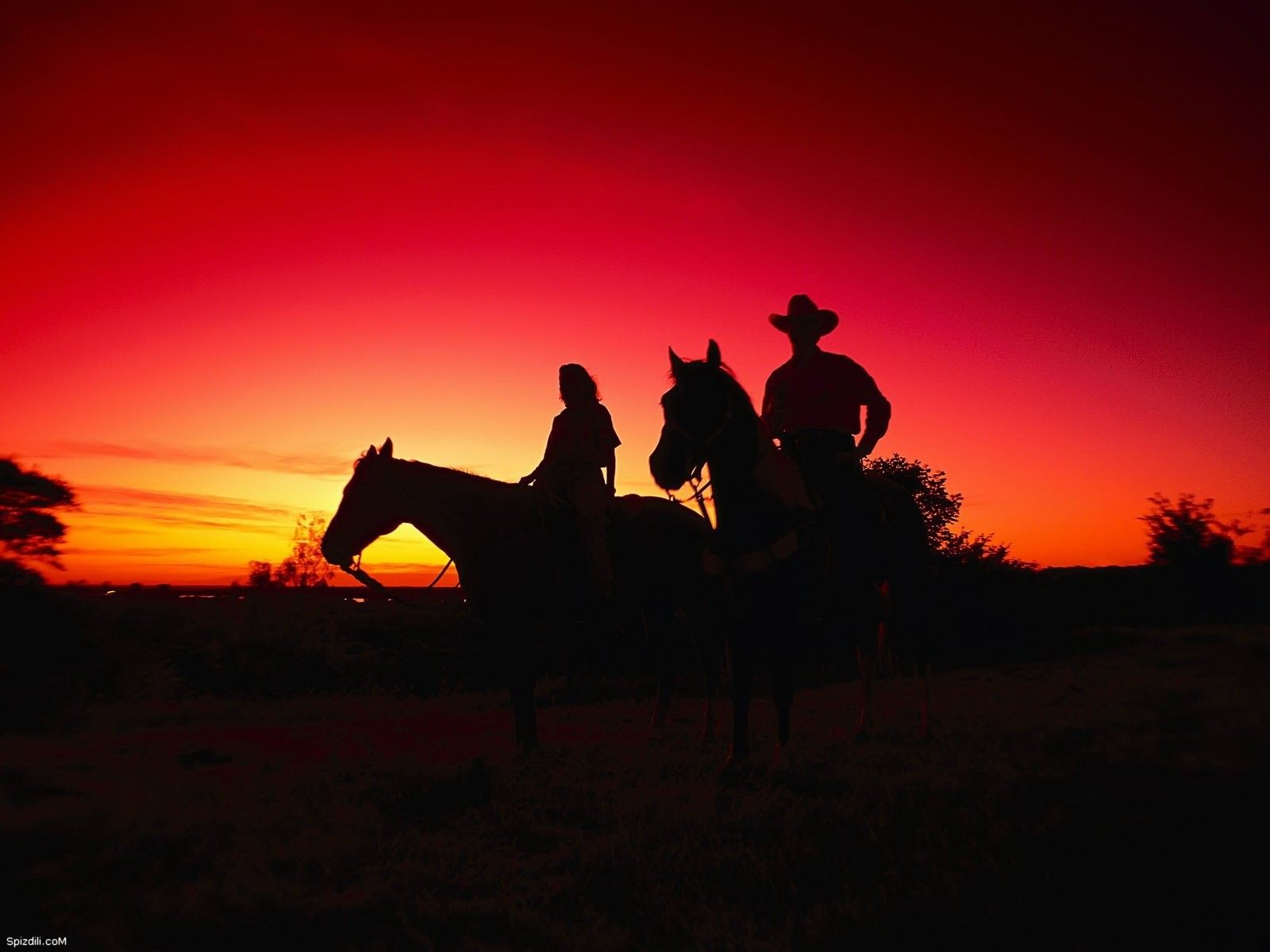 Cowboy Desktop HD Wallpaper