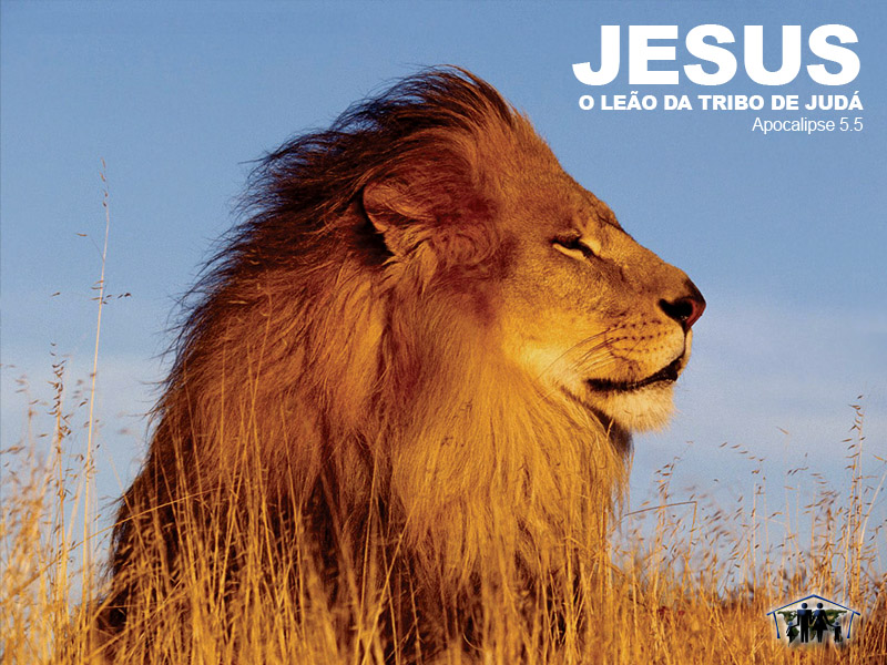 Lion Of Judah Jesus Wallpaper