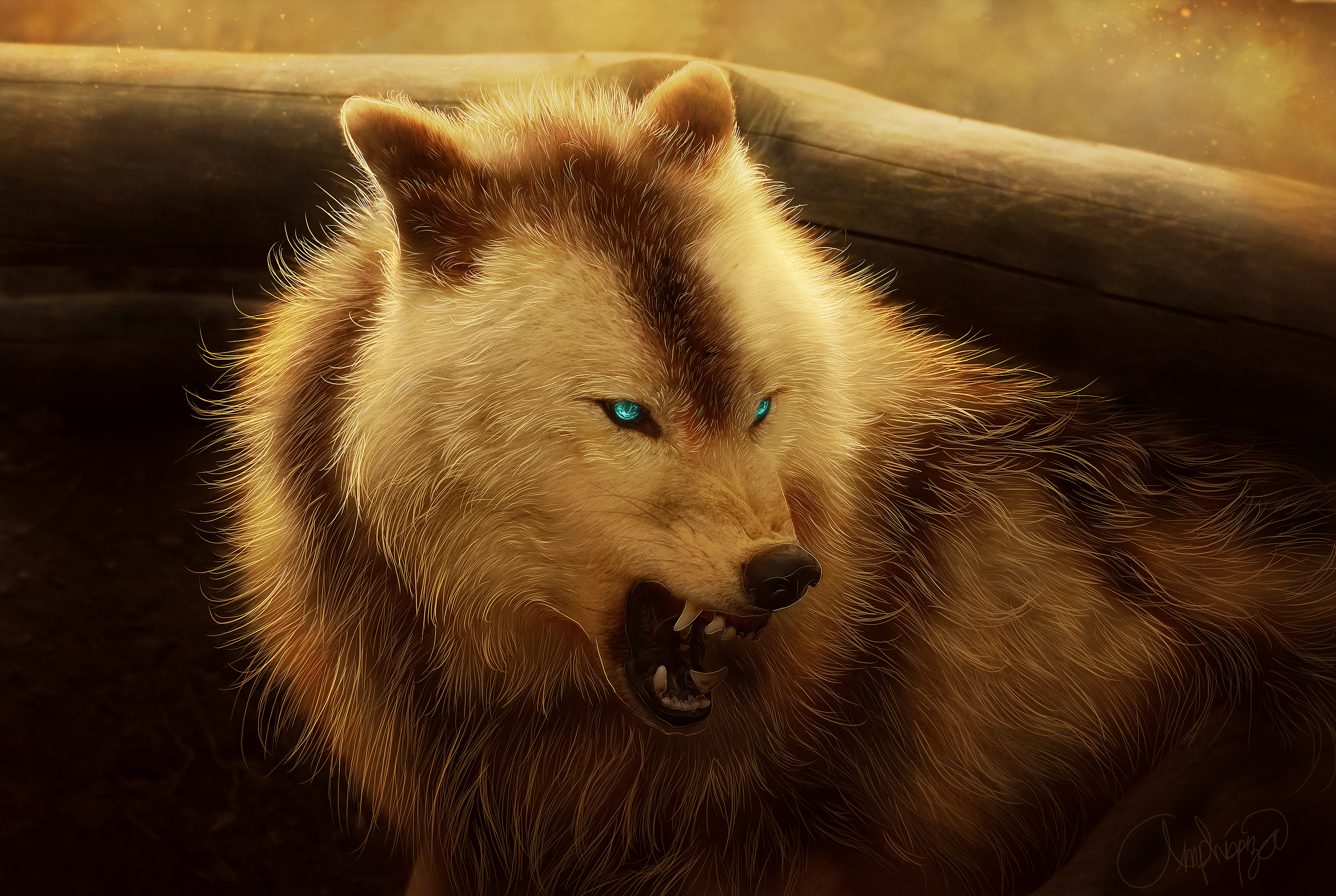 A digitally enhanced image of a wolf with piercing blue eyes, baring its teeth in a snarl. Its fur is a mix of light cream and brown, illuminated by a warm, golden light, creating a dramatic and intense atmosphere