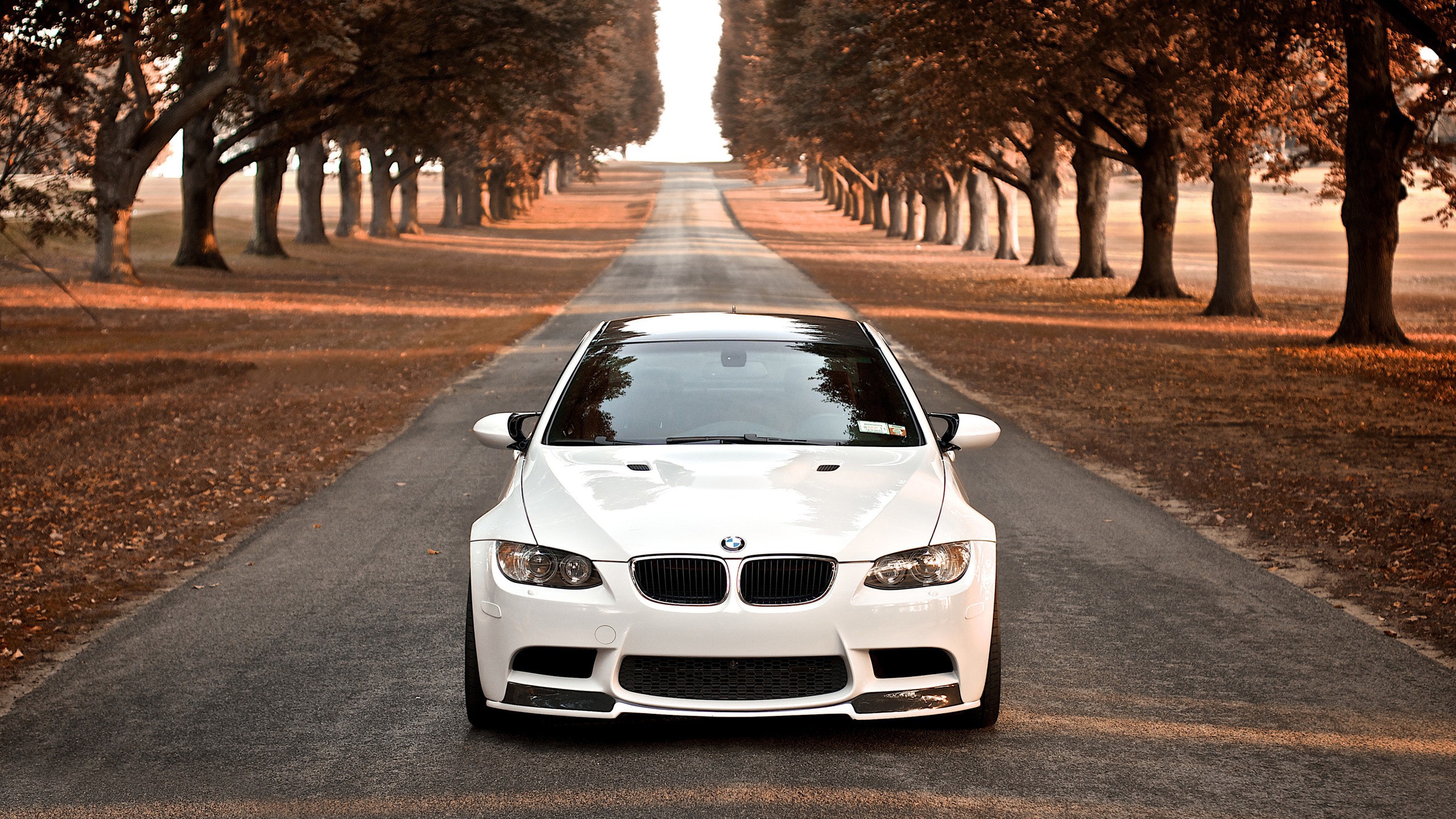 White BMW M3 driving down a scenic tree-lined road in autumn