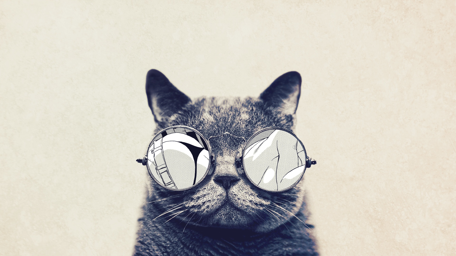 Cool Cat with Glasses watching Anime desktop wallpaper