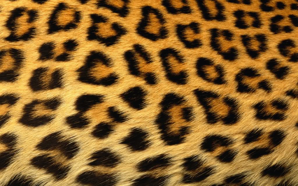 Cheetah Print Background