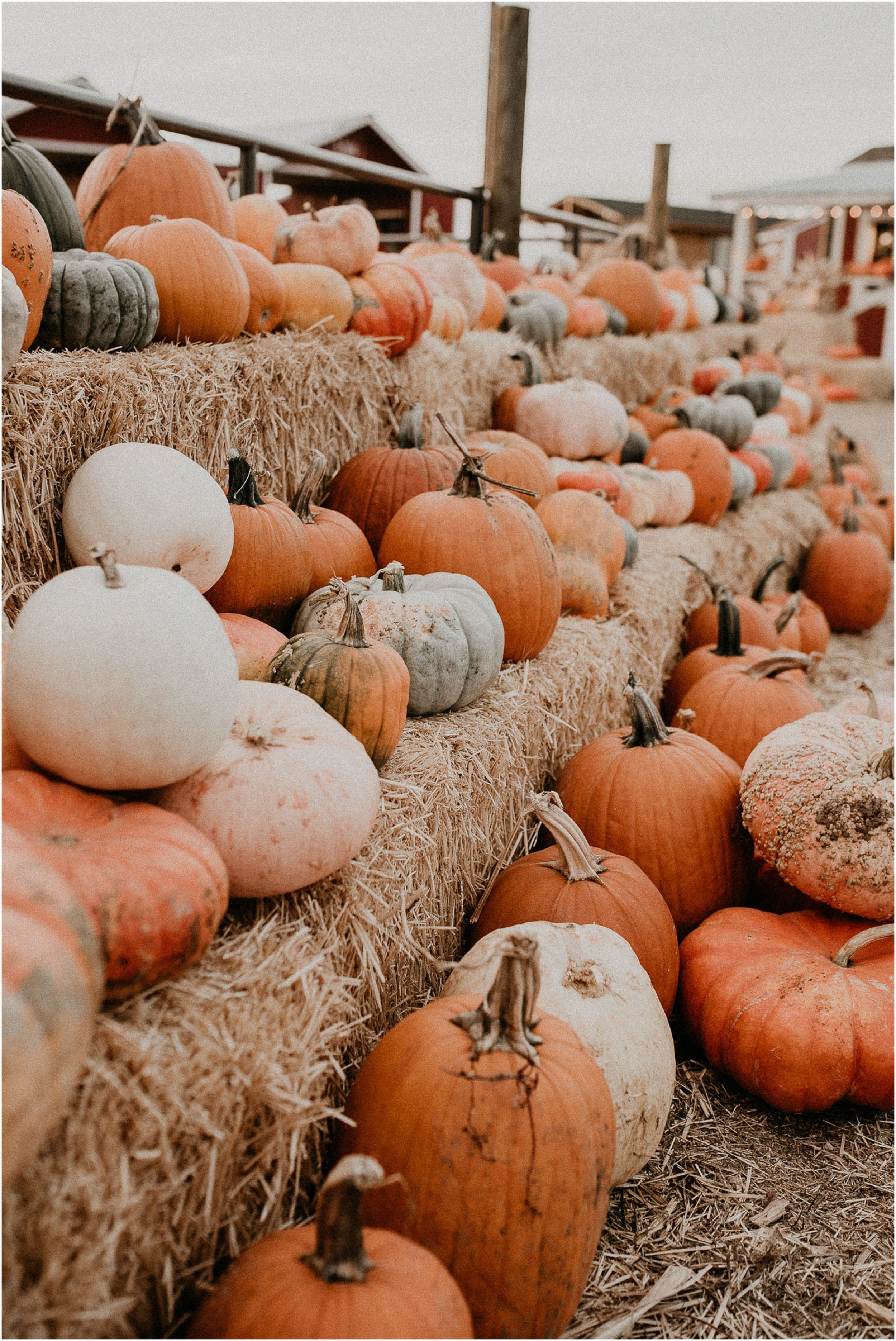 Halloween Background Image Aesthetic Wallpaper