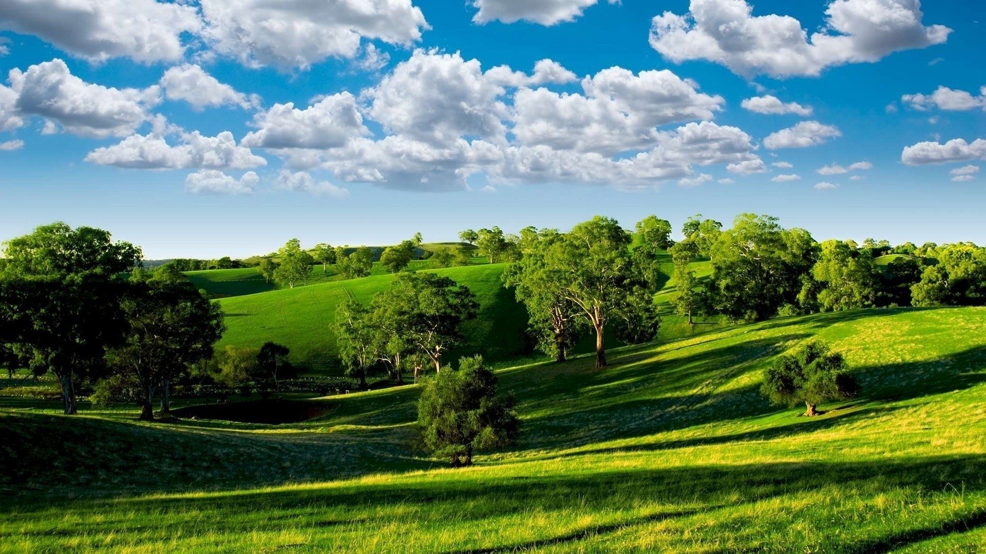 Nice Landscape Of Green Hills HD Desktop Wallpaper