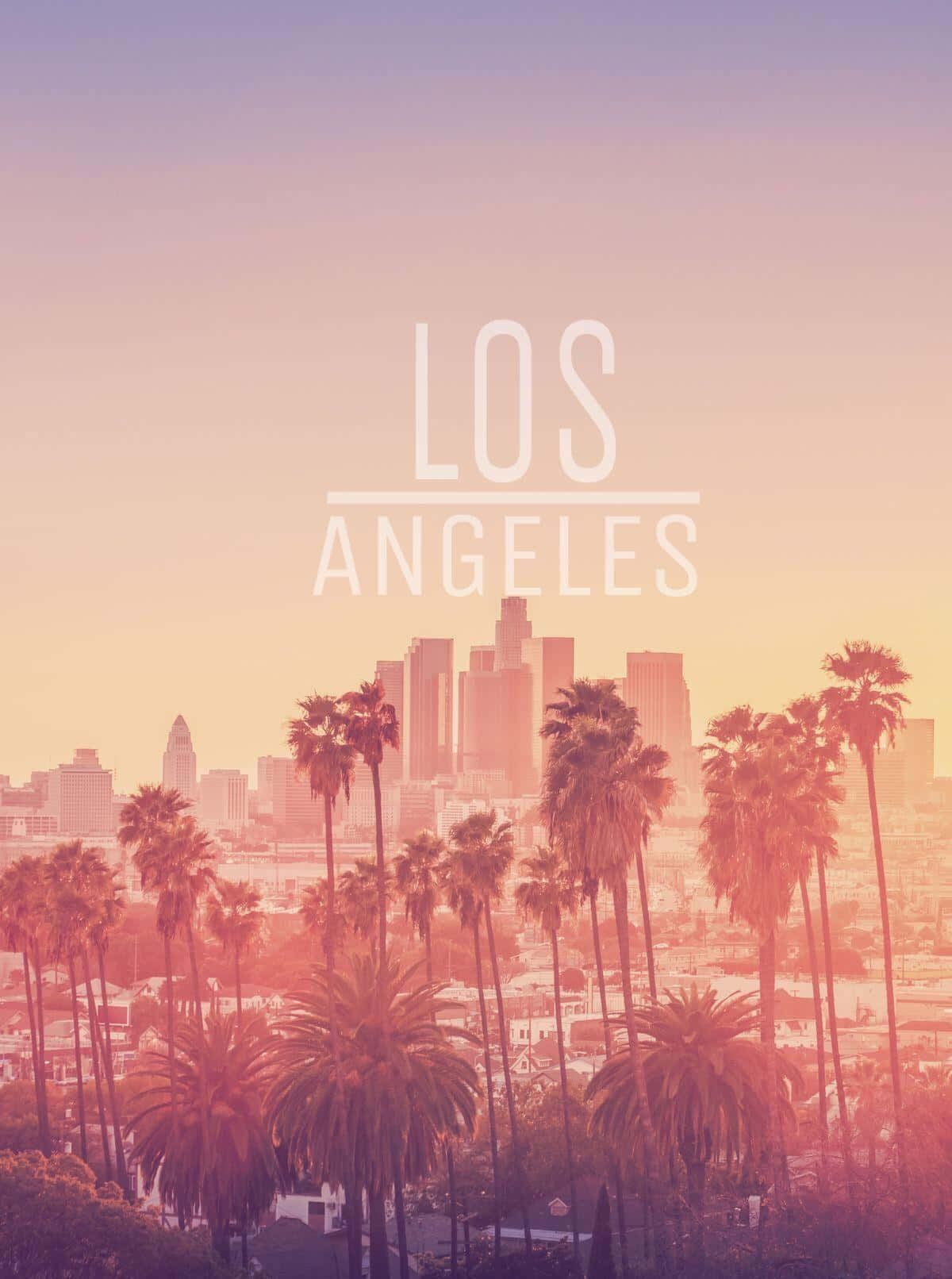 Welcome The Bright Lights And Year Wallpaper