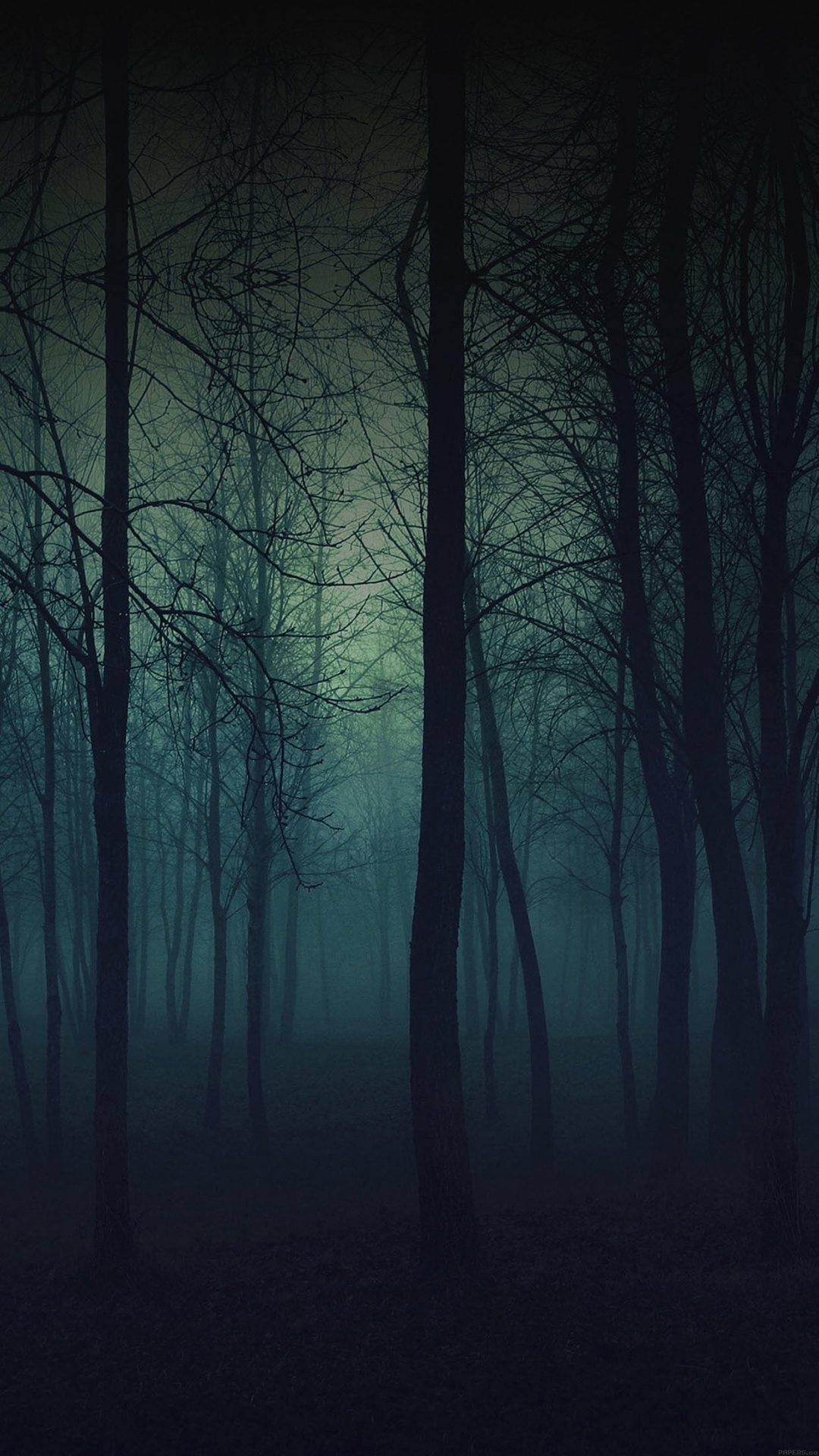 Eerie Forest Night iPhone Plus HD Wallpaper 6s
