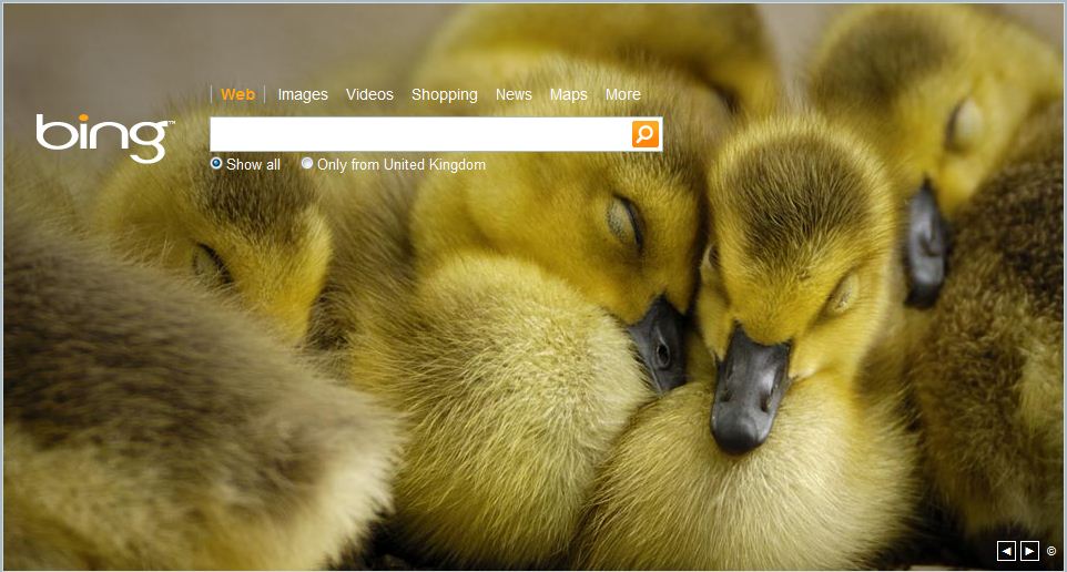 Bing Have Been Using Their Themed Background Quite Nicely For Easter