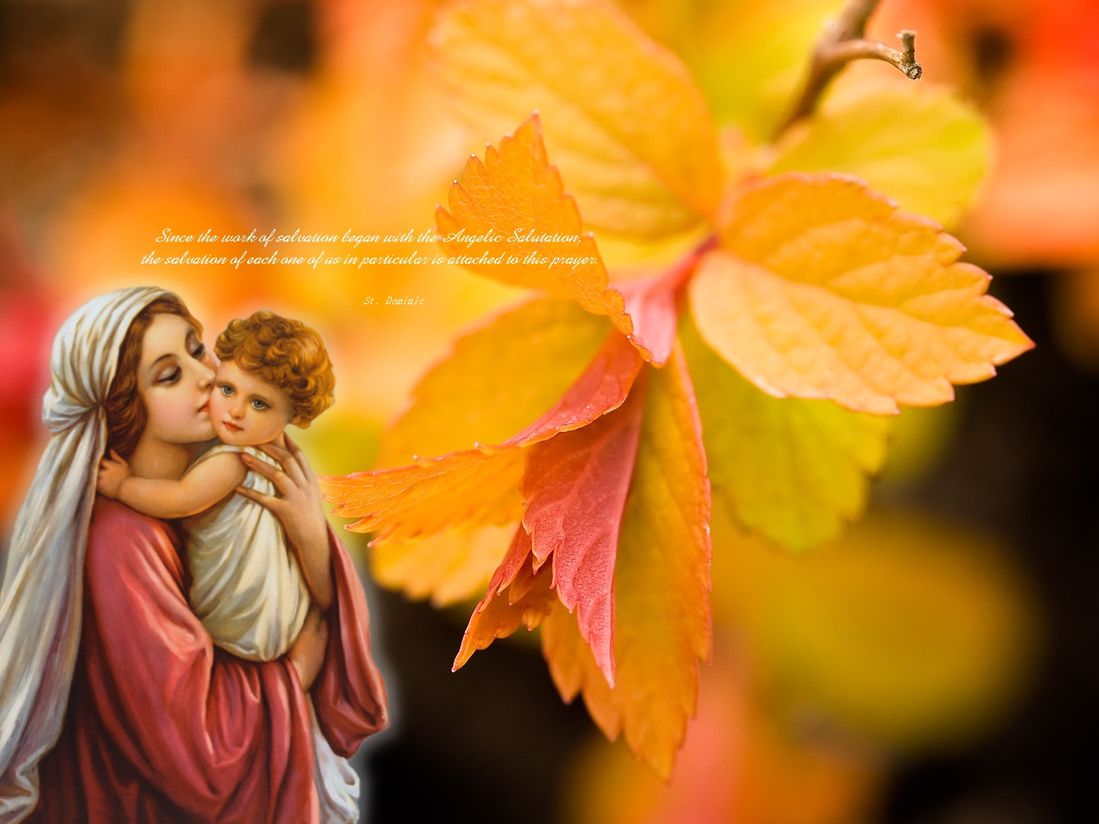 Mary Wallpaper Catholictradition Org Vierge Htm