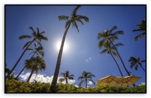 Maui HD Wallpaper For Wide Widescreen Whxga Wqxga Wuxga Wxga
