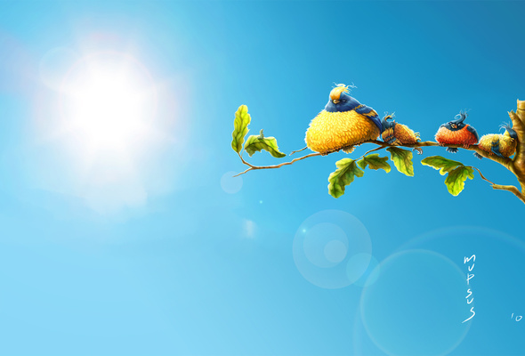 Wallpaper Summer Bird Branch Blue Sky Graphics Desktop