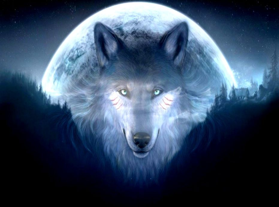 3d Wolf Wallpaper HD Amazing Fantasy In
