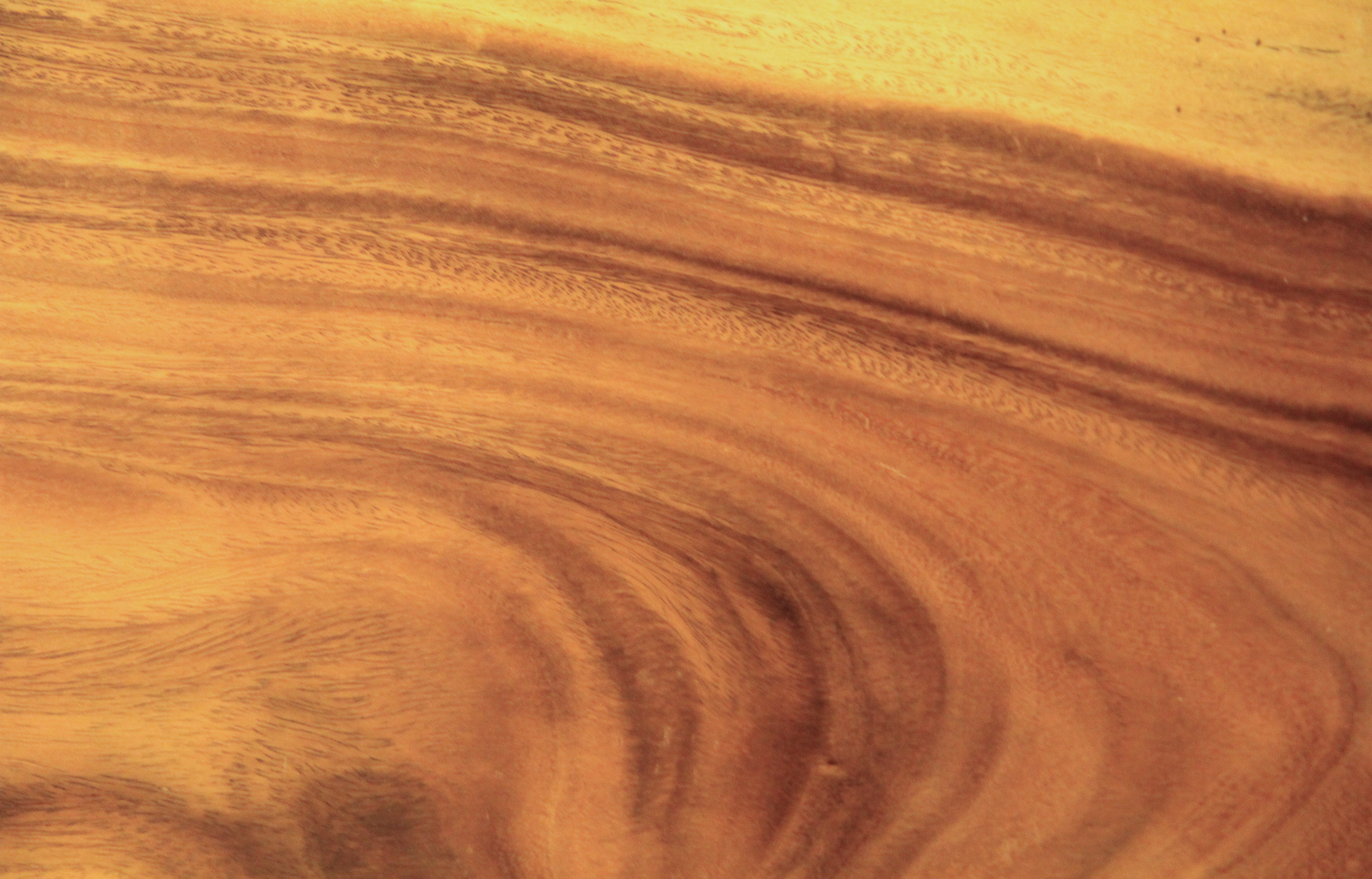 Smooth Wood Texture Walnut Panel Flowing Grain Stock Wallpaper