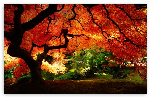 Beautiful Autumn HD Wallpaper For Standard Fullscreen Uxga Xga