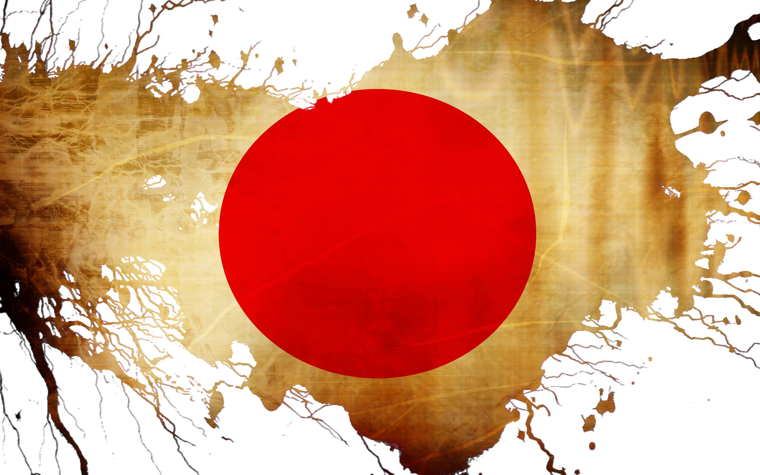 Flag Of Japan HD Wallpaper Background Image 2560x1600 ID