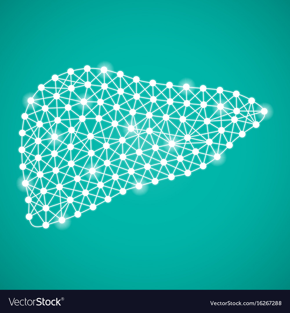 Human Liver Isolated On A Green Background Vector Image
